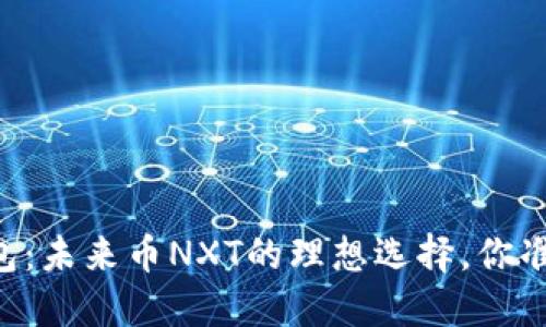 探索IM钱包：未来币NXT的理想选择，你准备好了吗？