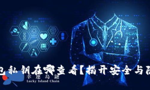 区块链数字钱包私钥在哪查看？揭开安全与隐私的神秘面纱