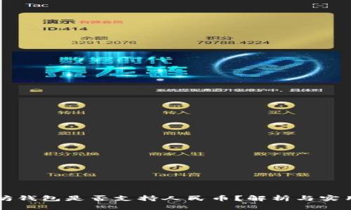 以太坊钱包是否支持人民币？解析与实用指南