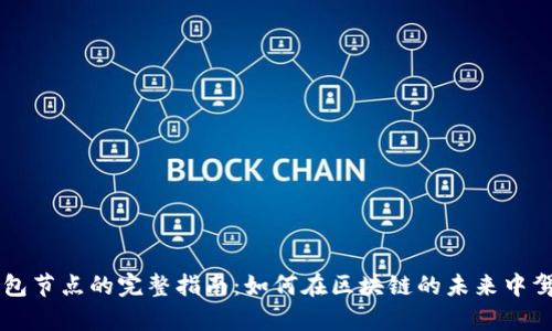 以太坊Parity钱包节点的完整指南：如何在区块链的未来中驾驭您的数字资产