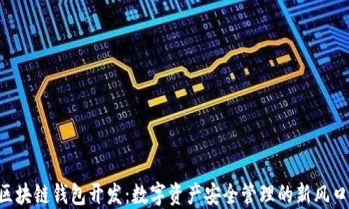 
区块链钱包开发：数字资产安全管理的新风口！