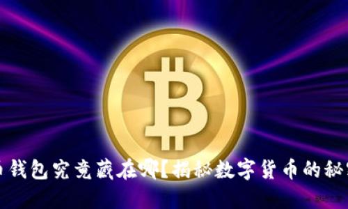 比特币钱包究竟藏在哪？揭秘数字货币的秘密空间