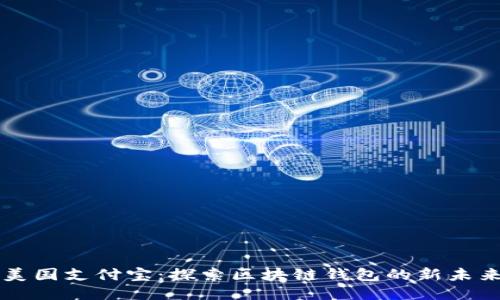 美国支付宝：探索区块链钱包的新未来