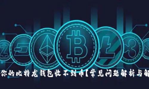 为什么你的比特龙钱包收不到币？常见问题解析与解决方案