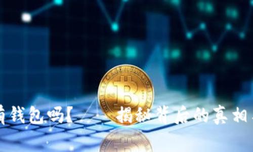 虚拟币交易所真的有钱包吗？——揭秘背后的真相与你需要知道的事情