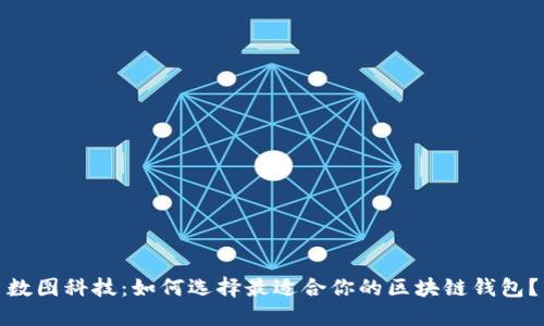 数图科技：如何选择最适合你的区块链钱包？
