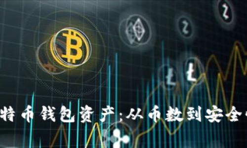 如何正确管理你的比特币钱包资产：从币数到安全性，你都应该知道的事