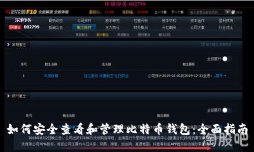 如何安全查看和管理比特币钱包：全面指南