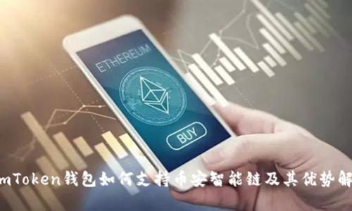  imToken钱包如何支持币安智能链及其优势解析