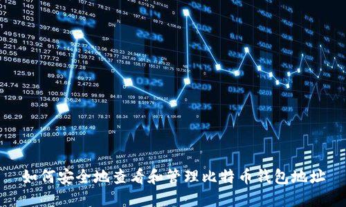 如何安全地查看和管理比特币钱包地址