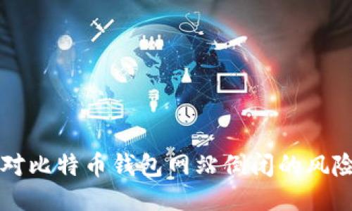 如何应对比特币钱包网站倒闭的风险与对策