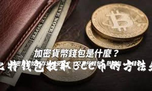 全面解析比特钱包提取BCC币的方法和注意事项