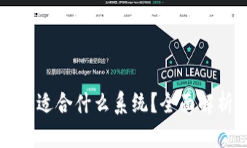 比特币冷钱包适合什么系统？全面解析与应用指南